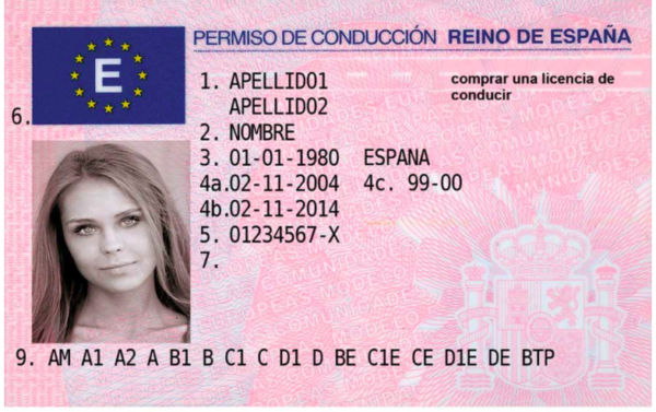 Buy Database Spain Driver's-License